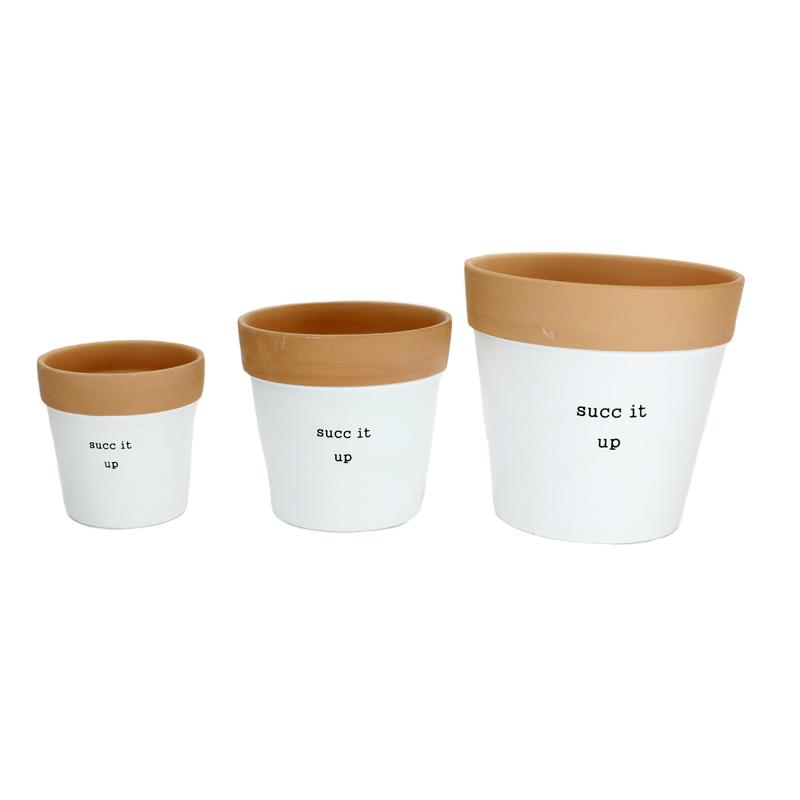 Set of 3 Succ It Up Planters